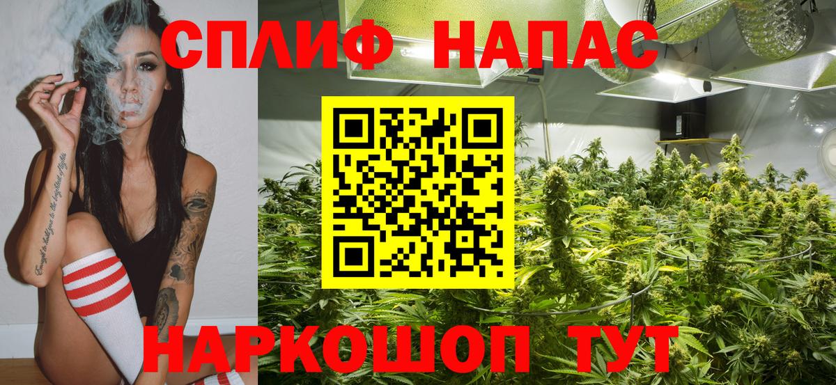 Шишки марихуана конопля  Вход с VPN  Каннабис конопля  Конопля план  Марихуана THC 21%  Электрогорск 